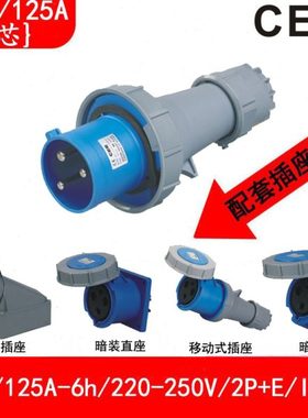 CEE63A220V防水插头检修箱插座125A公母对插TYP-0332/3332/2332