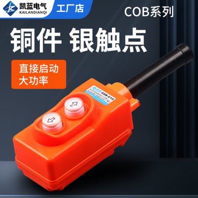 TNHA1 COP COB-213 行车开关 直控型吊机 吊车开关上下按钮大功率