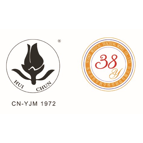 SMO0361细胞超微立体结构模型（1部件）