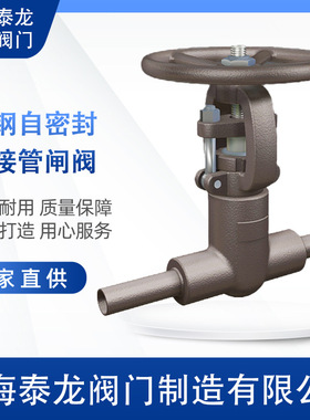 锻钢WCB带接管闸阀测压阀DN25DN32DN40DN50DN65DN80DN100DN125