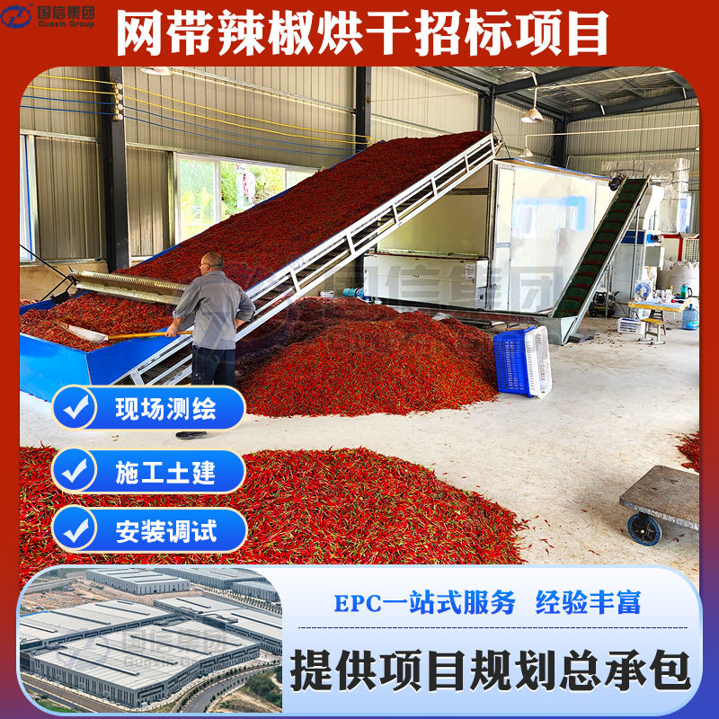 网带辣椒烘干加工项目 青椒干燥全套设备 辣椒清洗去柄色选生产线,模玩/动漫/周边/娃圈三坑/桌游,场景/建筑模型,淘宝优惠券,粉丝福利购,淘宝优惠卷