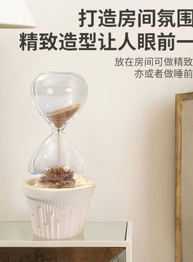 创意磁吸花盆磁力沙漏磁铁沙漏治愈解压家居客厅餐厅办公桌面摆件