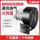 DF离心风机220V多翼式 引风机静音耐高温鼓风机工业风机小型380V