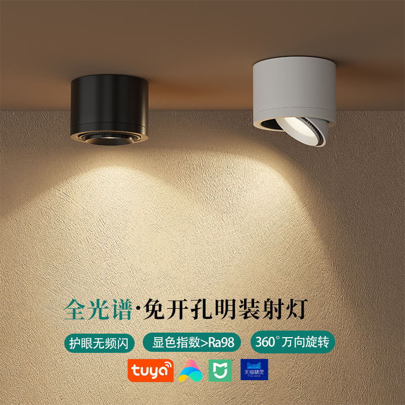 明装小射灯可调角度客厅店铺商用LED防眩筒灯护眼全光谱中山灯具
