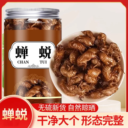 蝉蜕中药材野生蝉蜕的功效蝉衣中药材知了壳蝉蜕500克包邮