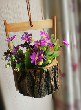 原木树桩花蓝情人泪多肉组合盆栽室内阳台吊兰绿植肉肉垂吊花盆