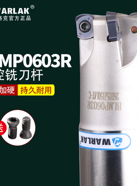 快进给双面铣刀杆BLMP0603R/TEBL06特固克 BLMP0603R刀片开粗铣面