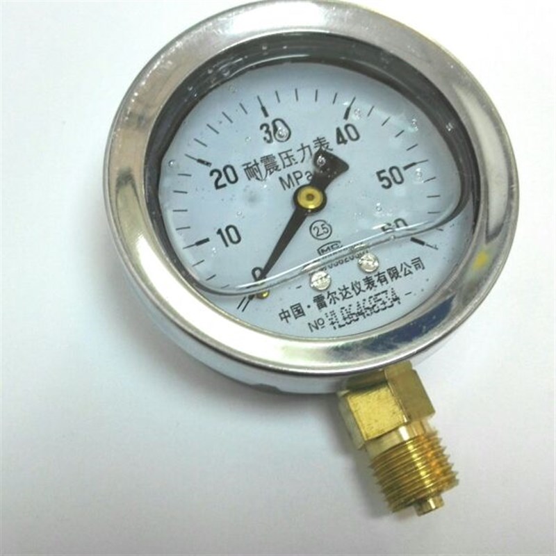 耐震压力表 雷尔达 YN-60 0~60mpa m14x1.5 背后62mm 前面69mm
