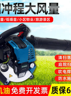 新疆西藏专链LX-2500大风量重量轻汽油吹风机除尘机恶劣环境作业
