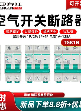 天正电气空气开关TGB1N-63S 1P2P3P4P32A63A4.5KA家用小型断路器
