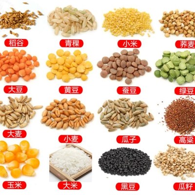 粮食风选机家用小型电动风车吹玉米稻谷子吹谷机R农用清杂机风斗