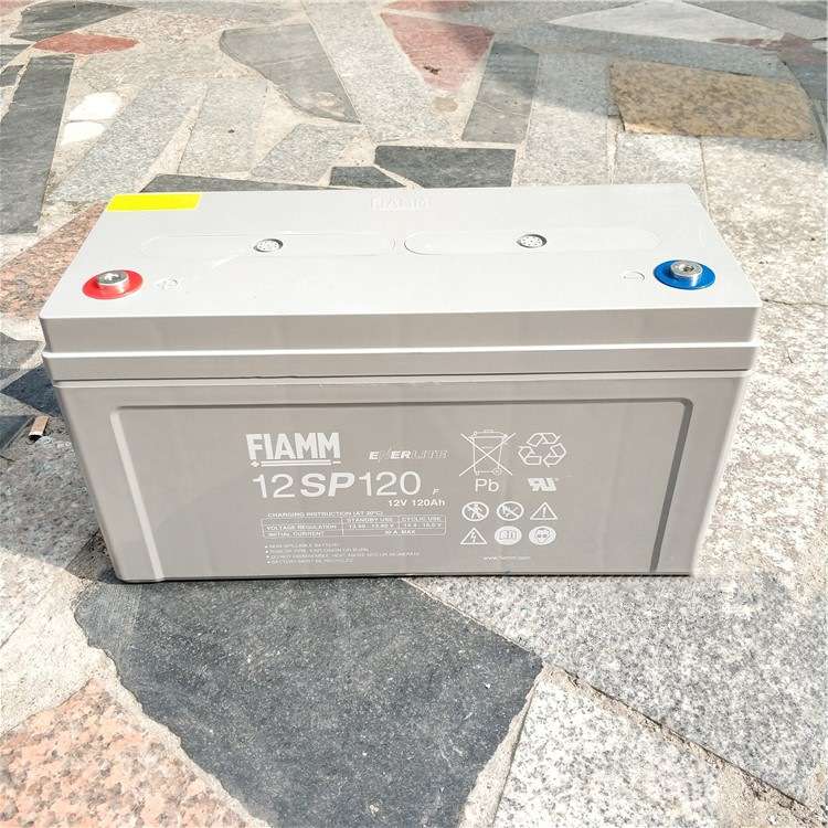 工厂直销12SP100/12V26AH33AH65AH70AH150AH20H FIAMM非凡蓄电池