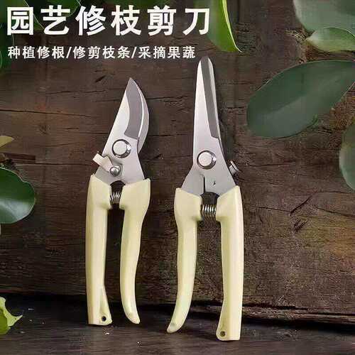 园艺剪修枝花卉树枝果树剪