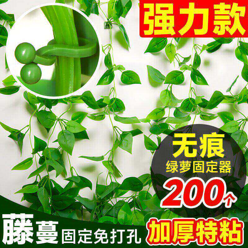 绿萝爬墙固定器夹子无痕