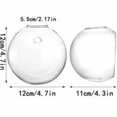 墙壁玻璃花家居装 创意悬挂式 饰 透明圆形壁挂水培植物花 甄选6个装