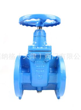 甄选法兰式球墨铸铁闸阀暗杆闸阀dn50向软密封闸阀Z45X-16Q