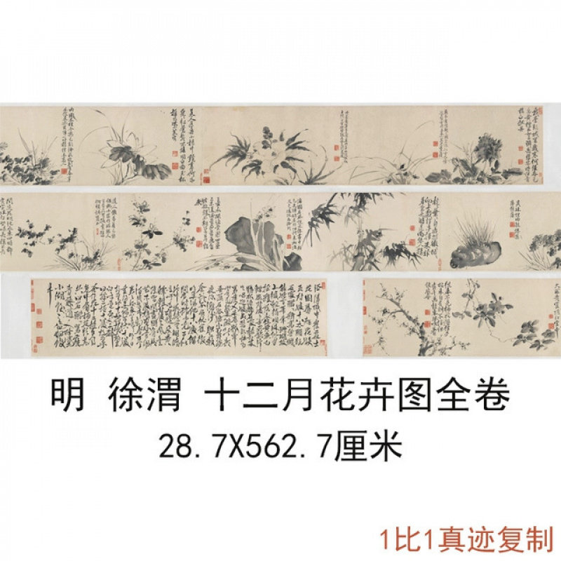 徐渭十二月花卉图卷60