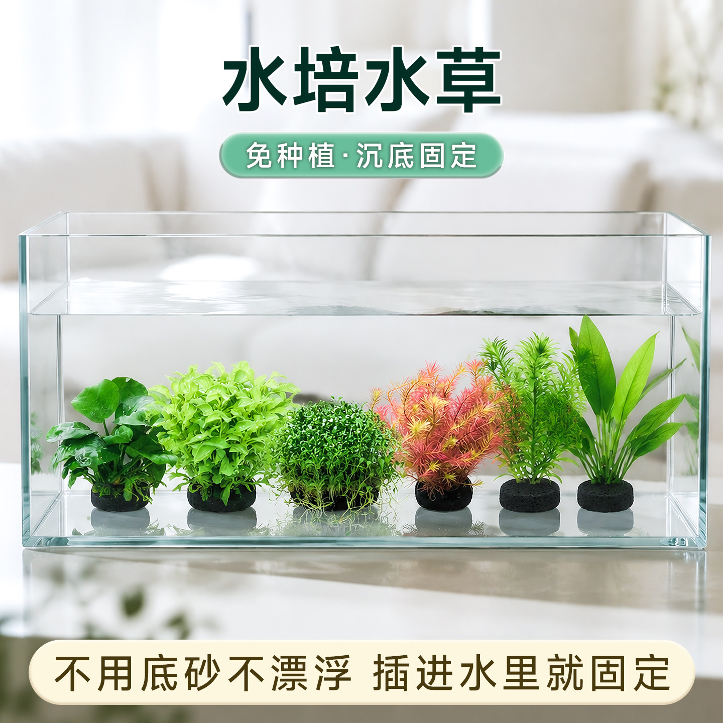 坨草水草水培植物鱼缸造景生态全套摆件养鱼增氧铺底和鱼共养缸