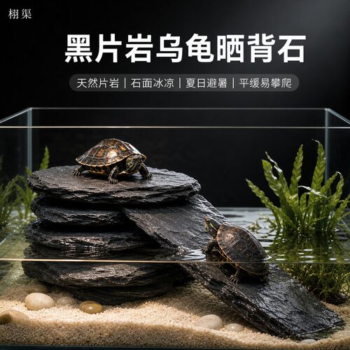 乌龟爬坡黑片岩天然片岩层次造景