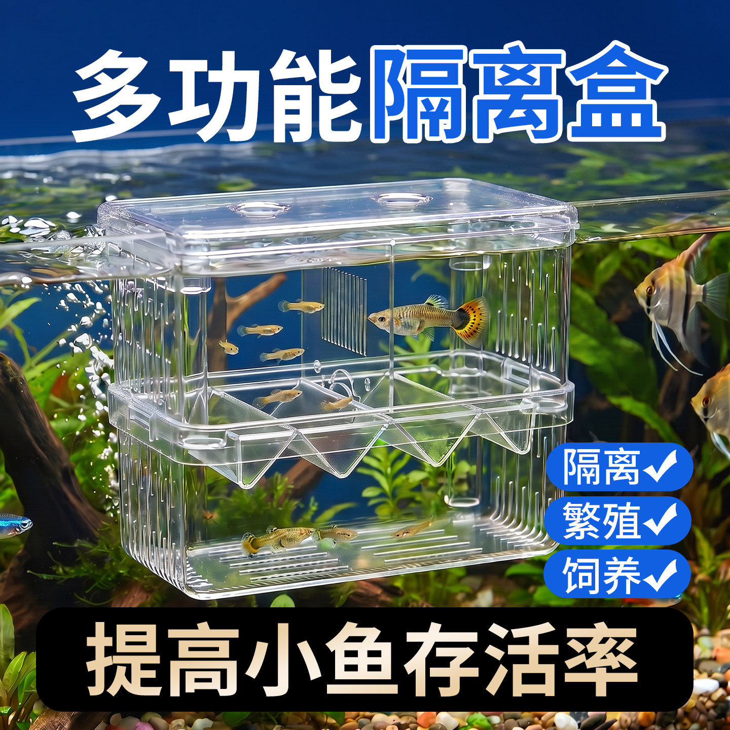栩渠鱼缸隔离盒繁殖饲养材质安全图片