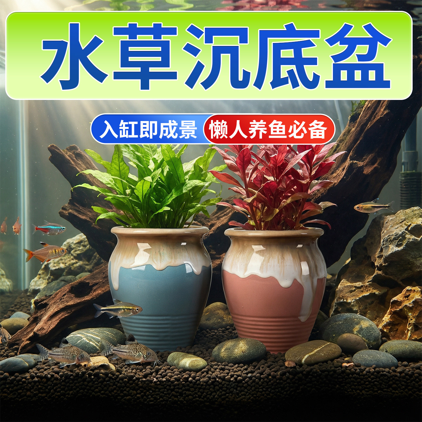 鱼缸造景沉底盆陶罐固定专用摆件水培定植环陶罐陶瓷水草固定神器