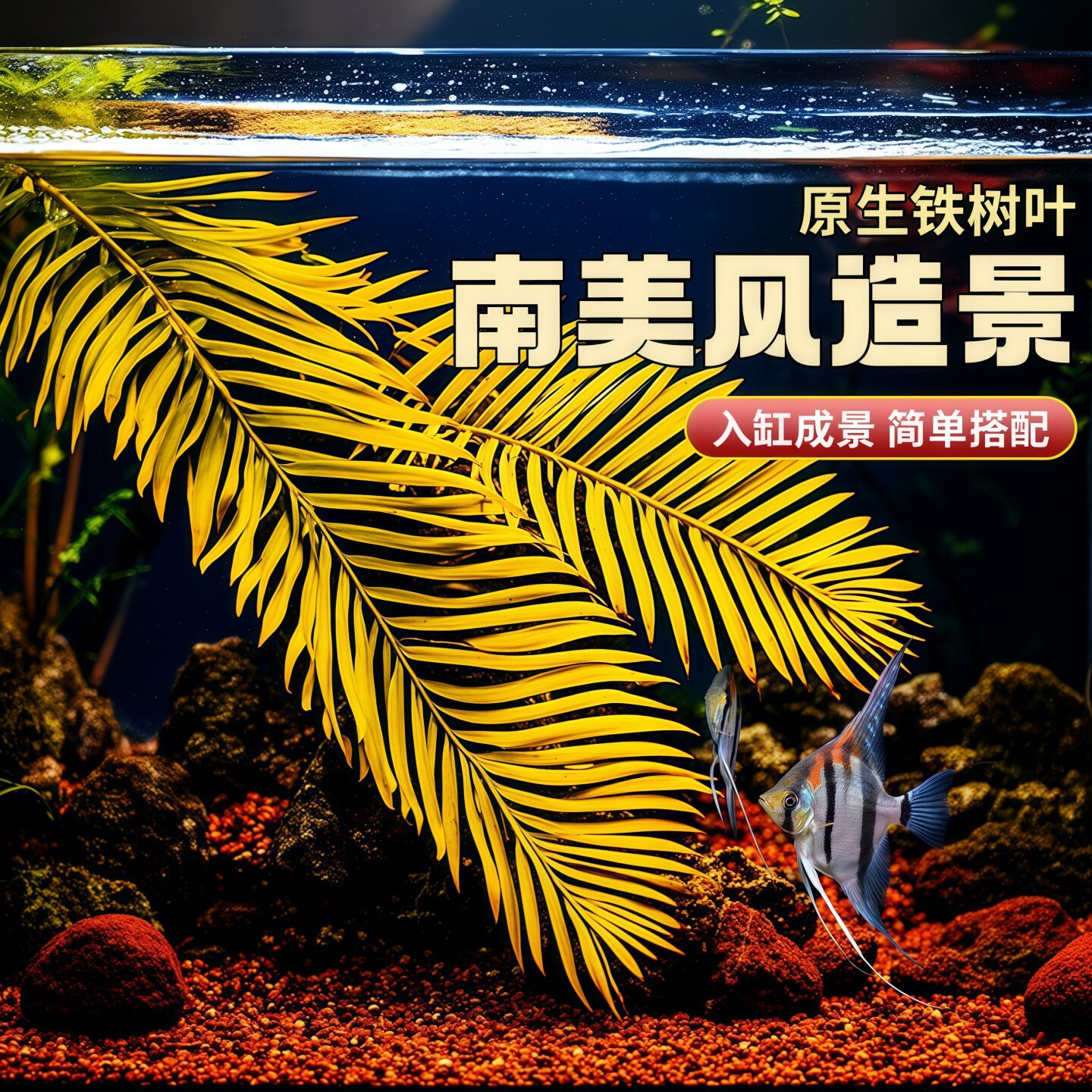 新鲜铁树叶水族原生态落叶造景树枝南美缸自然热带雨林风装饰鱼缸