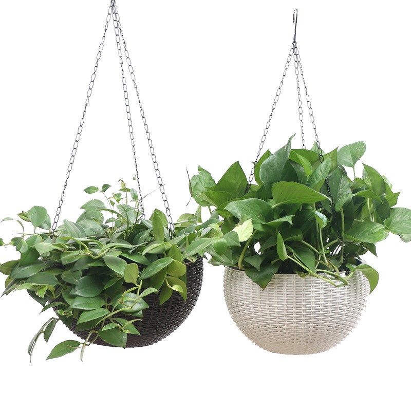 藤编吊盆塑料吊篮垂吊吊盆悬挂式掉蓝半圆挂蓝仿真花艺多肉绿萝树