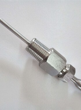 EYC出线式热电阻XR2-PT1-A-1-3.2-70-8-FPT1/8-2MTPFE-316L 2米线