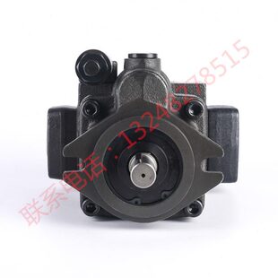 FR01变量柱塞泵原装 FR01 P22 PROPISTON P16 P08