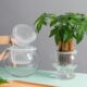 简约创意玻璃花瓶透明水培植物白掌花盆绿萝圆球形鱼缸器皿玻璃瓶