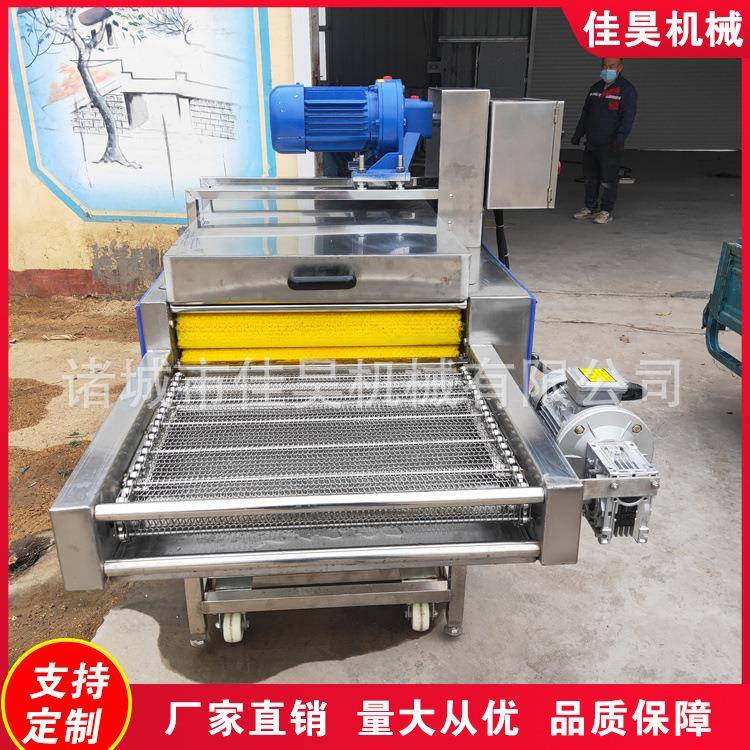 全自动竹叶荷叶清洗设备三角粽清洗机商用粽叶毛刷清洗机小型