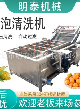 全自动果蔬气泡清洗机苹果土豆芹菜橘子橙子红薯韭菜洗菜洗果机