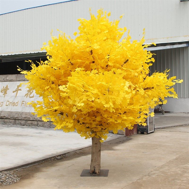 厂家仿真银杏树橱窗摆放婚庆商场落地展示仿真假树花卉银杏树,鲜花速递/花卉仿真/绿植园艺,仿真绿植,淘宝优惠券,粉丝福利购,淘宝优惠卷