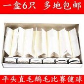 大毽球学生儿童比赛专用毽子白色鹅毛健球毽球平头直毛耐用毽球