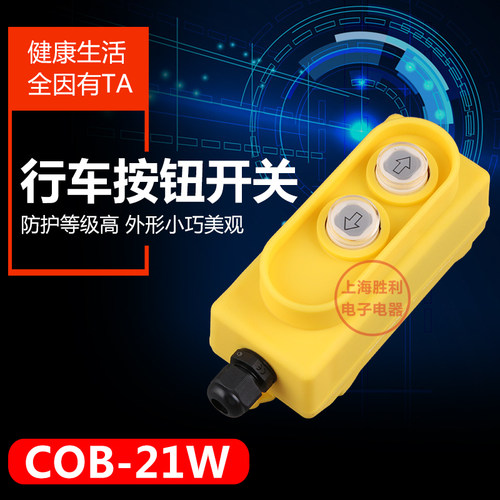 COB-21W 直控开关220V电压 上 下按钮 直接控制电动葫芦