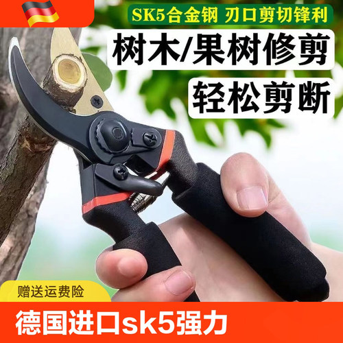 德国进口sk5钢园艺剪刀省力修枝剪修剪树枝剪刀树嫁接剪专用工具