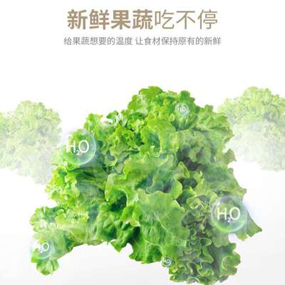 申花小冰箱家用小型冷藏冷冻学生宿舍206L三门电冰箱