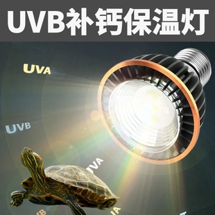 新型取暖灯泡宠物保暖灯爬宠加热夜灯龟缸灯乌龟晒背灯usb杀
