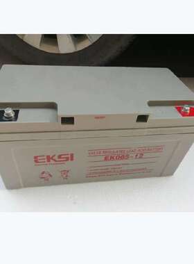 EKSI（爱克赛）蓄电池12V65AH免维护 EK065-12直流屏 基站 电源