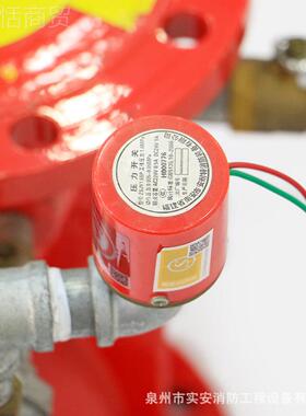 ZSFY100作预用报警阀组防报警阀防爆预TQU作雨用消装置湿式报警阀