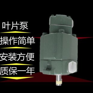 叶片泵PVL12 PV2R12 1R油泵 PVL23
