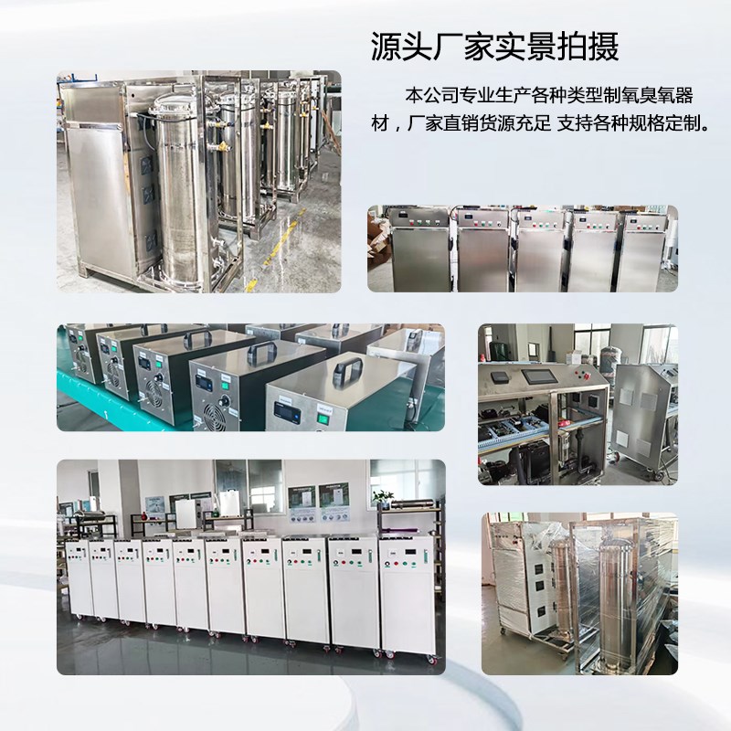 100G臭氧产生器大风力空气源食品加厂化妆品厂空间消毒杀菌除甲醛