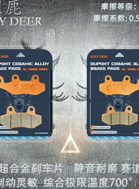 适用隆鑫无极SR250GT Play版2024年款陶瓷耐磨碟刹片烧结刹车片