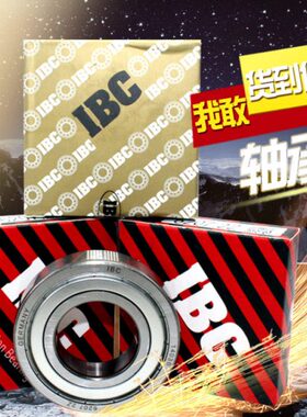 德国IBC进口轴承6020 6021 6022 6024 6026Z高速原装滚珠轴承尺寸
