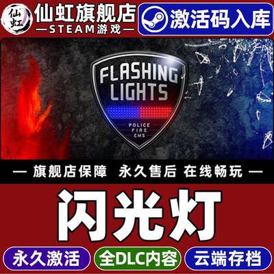 Steam正版闪光灯-警情消防急救