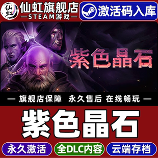 Steam正版紫色晶石 激活码CDKey入库全球区国区Stoneshard 全DLC电脑PC单机角色扮演策略类Rogue奇幻冒险游戏