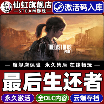 Steam正版最后生还者1激活码入库