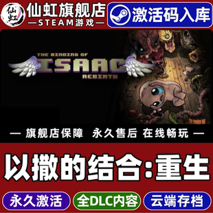Steam正版以撒的结合:重生 激活码CDKey入库全球区国区 The Binding of Isaac: Rebirth全DLC单机电脑PC游戏
