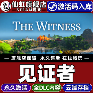 Steam正版见证者 激活码CDKey入库全球区国区 The Witness 全DLC电脑PC单机中文冒险 解谜探索 开放世界游戏