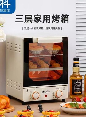 电烤箱家用12/22/48大容量烘焙蛋糕机全自动多功能商用烤出口Oven